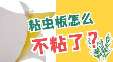 粘蟲(chóng)用熱熔膠