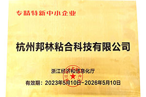 專(zhuān)精特新中小企業(yè)